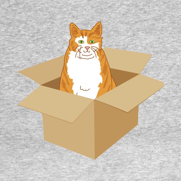 Orange Tabby Cat In A Box by SWON Design